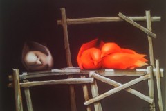 Daniel-Amaral-70x50-oleo-sobre-tela-usmeando
